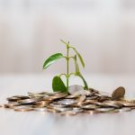 Decoding ESG: What Investors Need to Know for Sustainable Portfolios