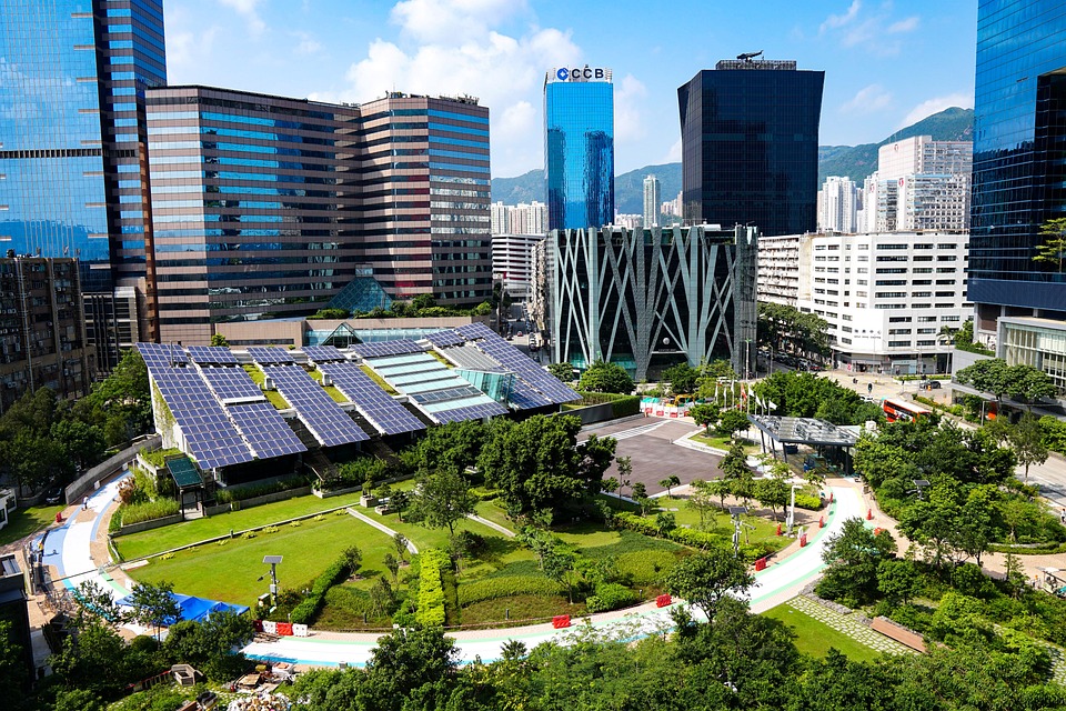 Feeding the City: Vertical Farming as a Game Changer for Urban Food Security