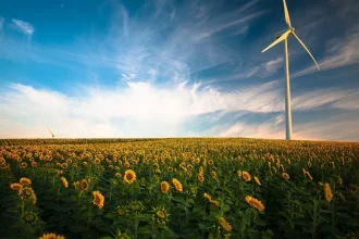 Pioneering a Green Revolution: The Evolution of Clean Energy Portfolios