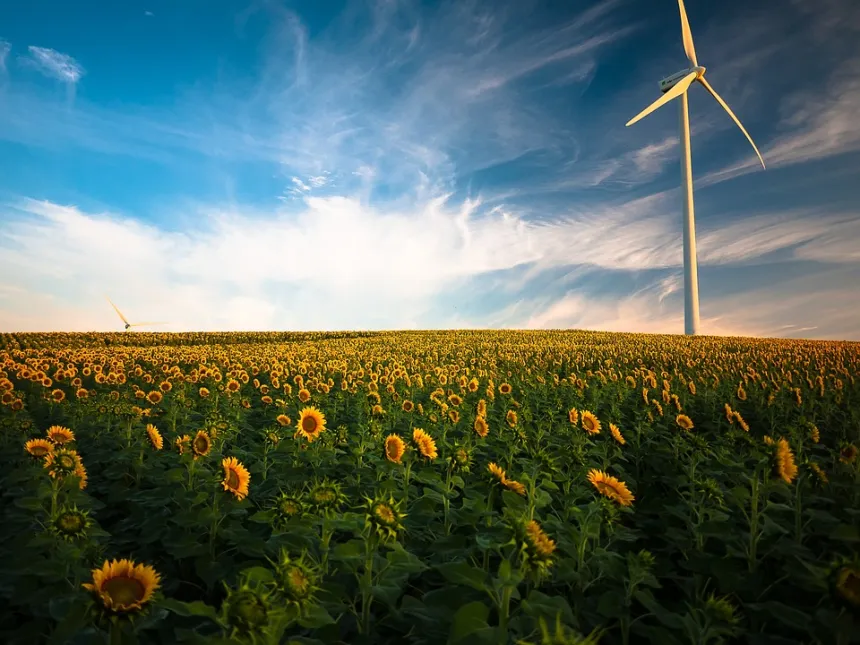 Pioneering a Green Revolution: The Evolution of Clean Energy Portfolios